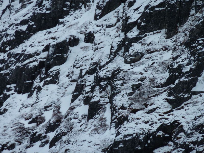 2010-03-16-1118_-_-