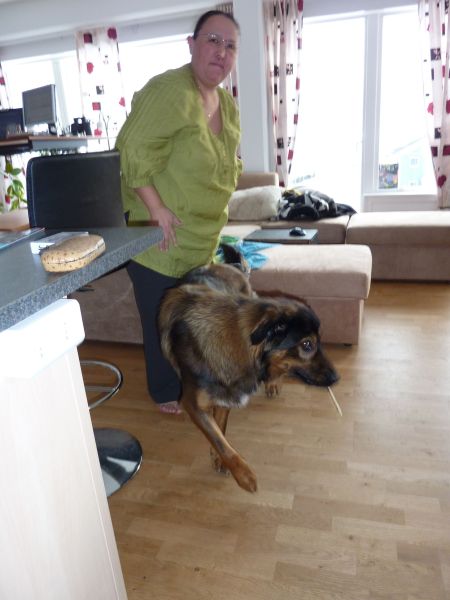 Maren og Djanco