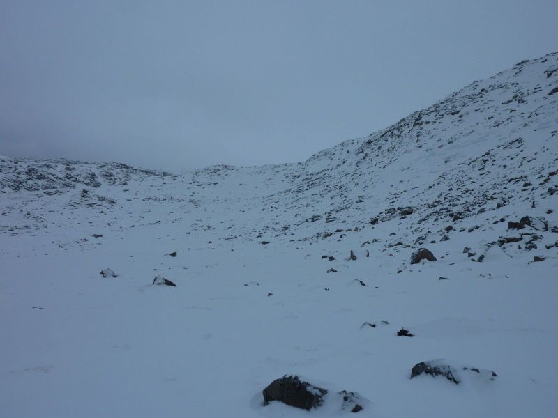 2010-03-15-1203_-_-