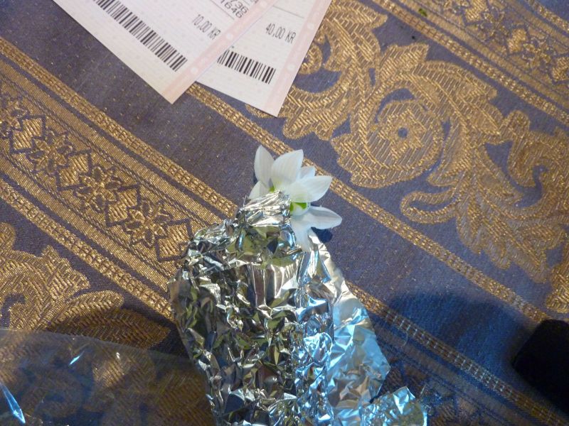 2010-03-18-1732_-_Potteplante_2