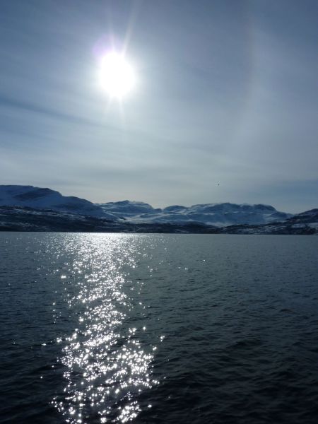 Sejltur med Sterna