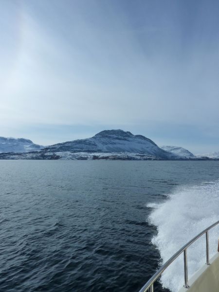 Sejltur med Sterna
