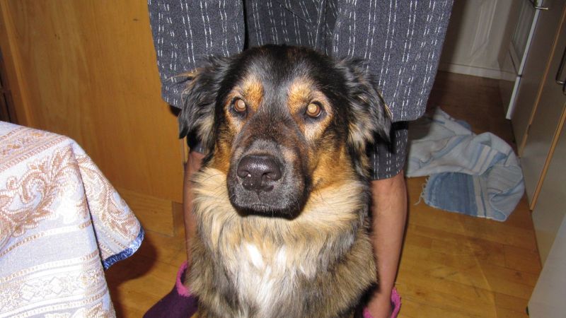 Djanco