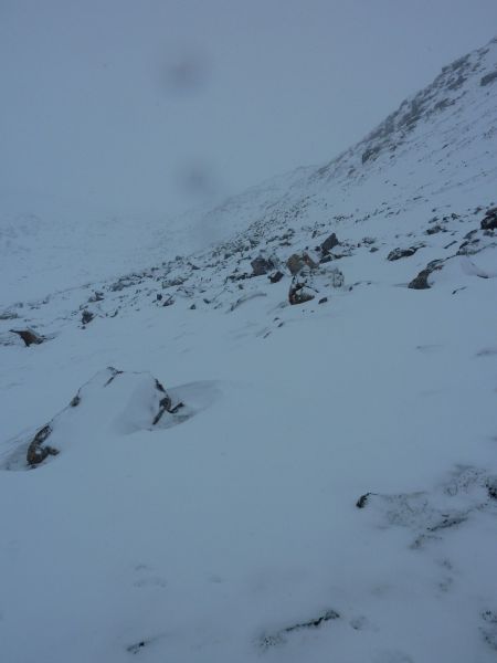 2010-03-22-1158_Gåtur_-_2