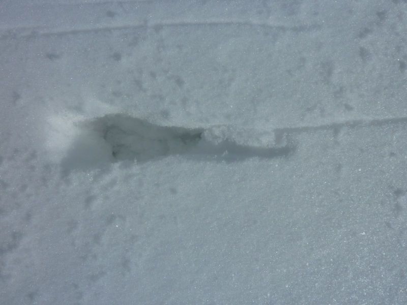 2010-03-23-1252_-_Spor