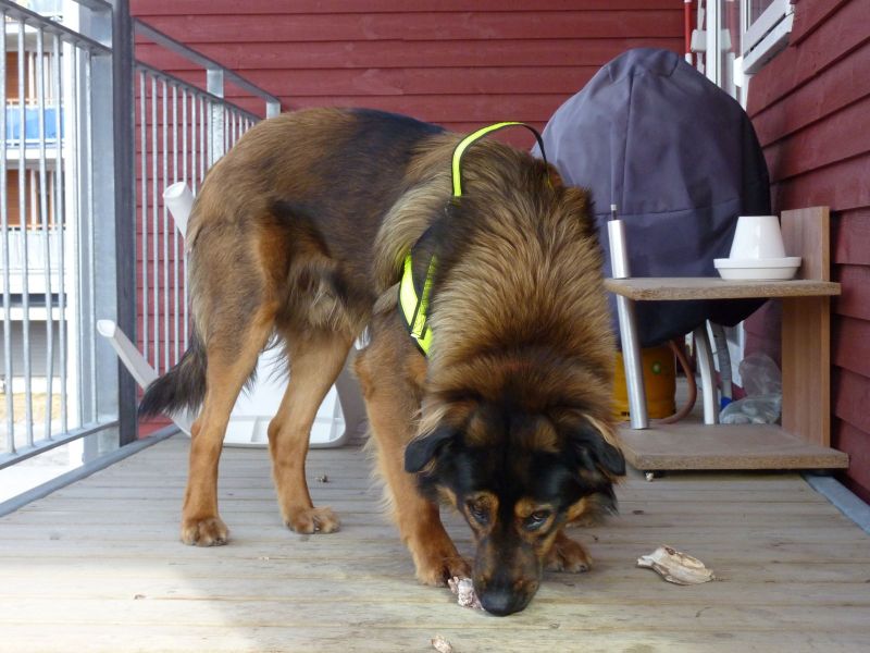 2010-04-15-1353_-_-
