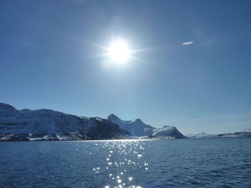 Hjortetakken