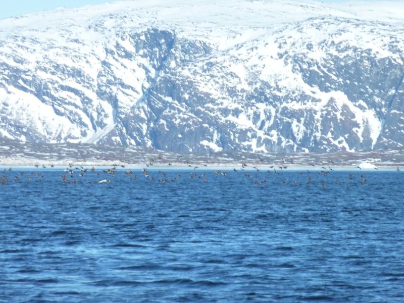 Sejltur