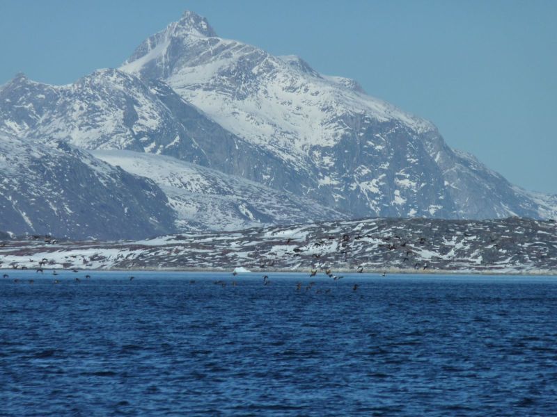 Sejltur