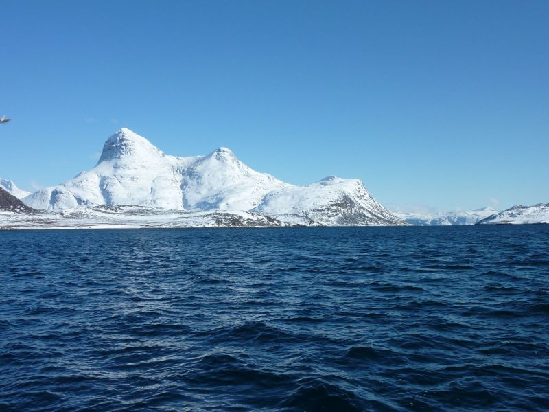 Hjortetakken