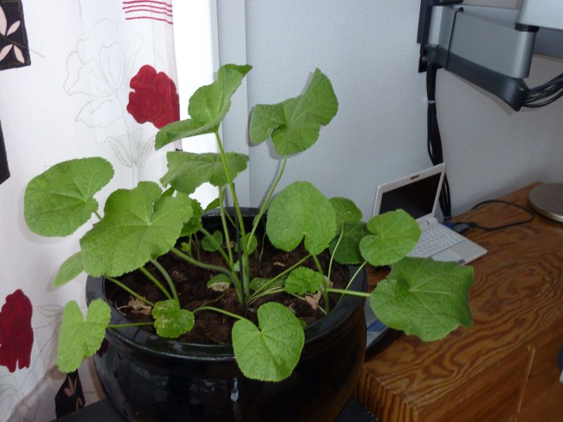 2010-04-24-0810_-_-