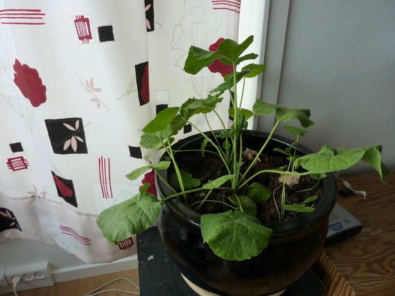 2010-04-28-1817_-_-