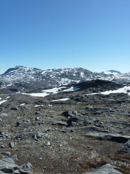 2010-05-27-1205_-_-_6