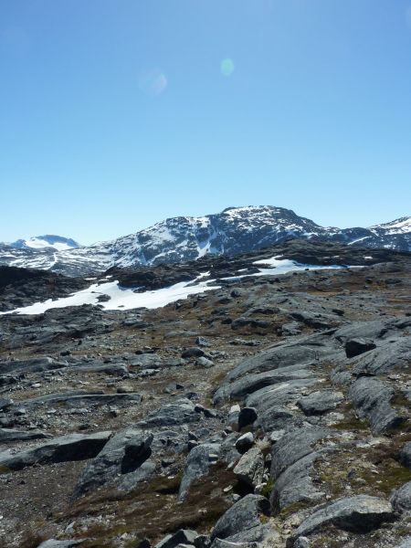 2010-05-27-1205_-_-_7