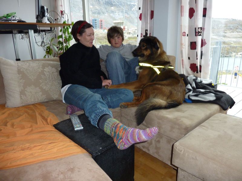 Naja, Simon og Djanco