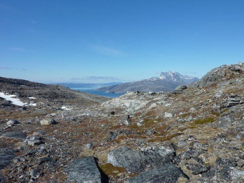 2010-05-30-1706_-_Sermitsiaq