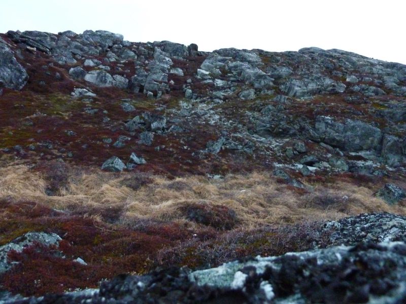 Aftentur ved stenbruddet og lufthavnen