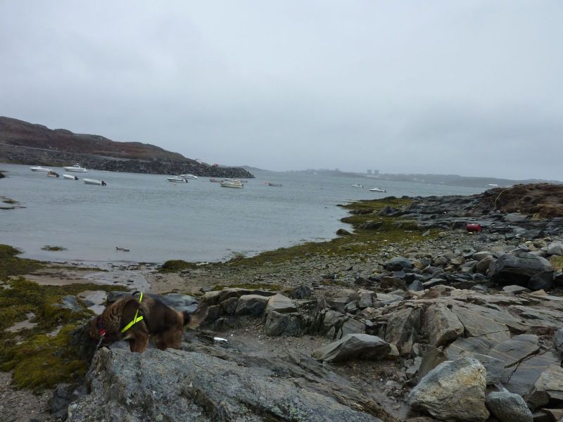 2010-05-11-1427_Inderste af bugten i Qinnqorput med både_Nuuk; Udsigt i Nuuk