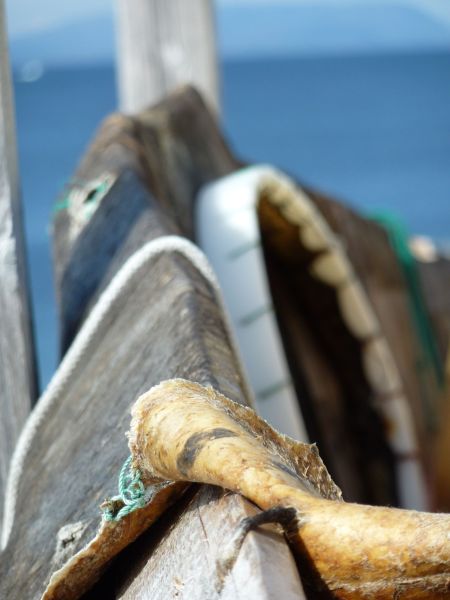 2010-06-06-1636_-_Kajak_2
