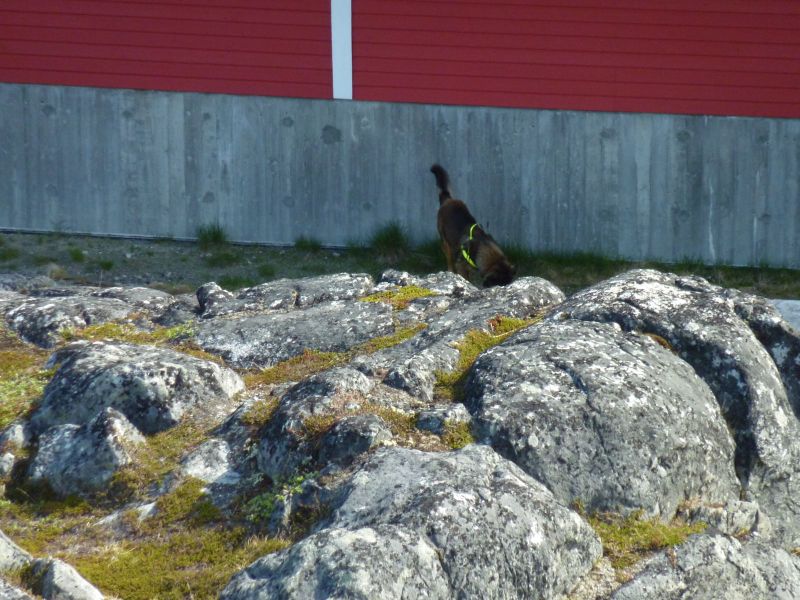 2010-06-06-1651_-_-_2