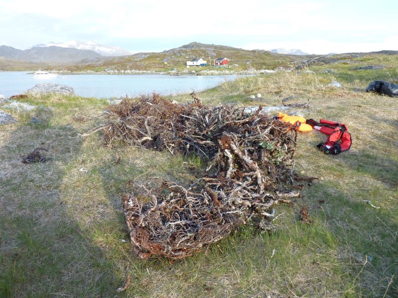 Tur til Tasiussarssuaq