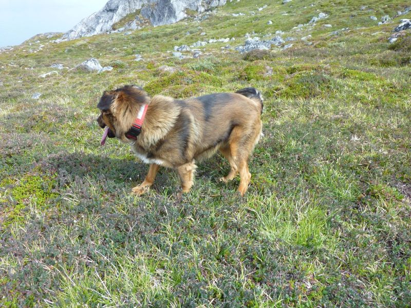 2010-07-15-1402_-_Djanco