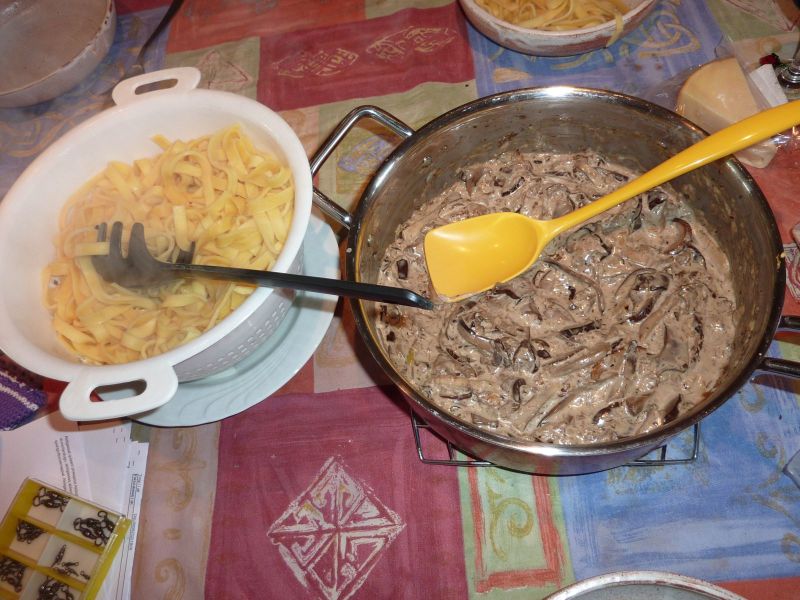 Svampe