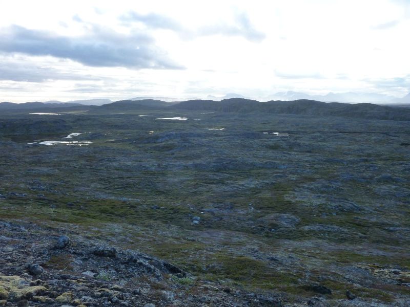 2010-08-01-0728_-_Terræn_2