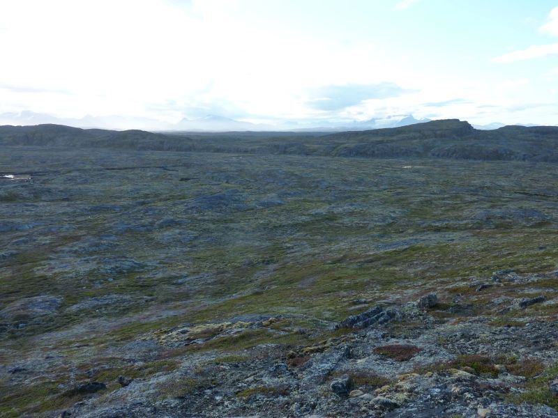 2010-08-01-0728_-_Terræn_3
