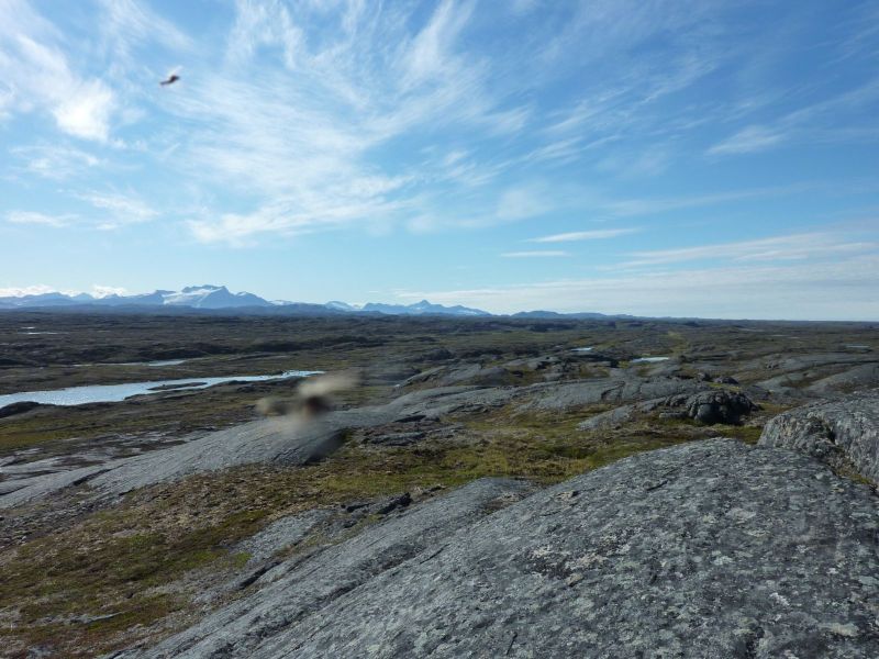 2010-08-01-1046_-_Terræn