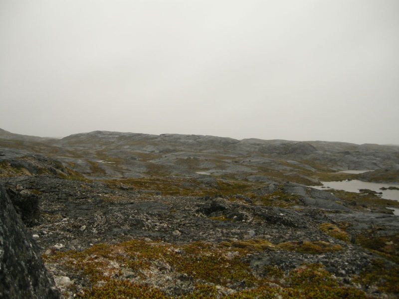 2010-08-03-1203_-_Terræn
