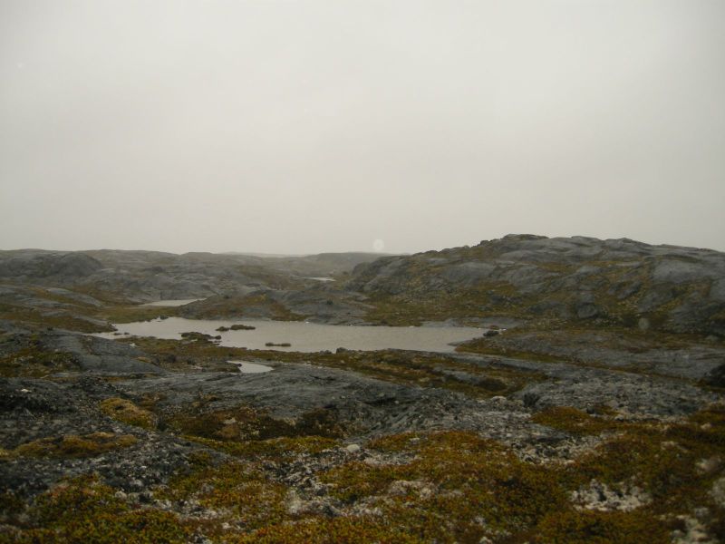 2010-08-03-1203_-_Terræn_2