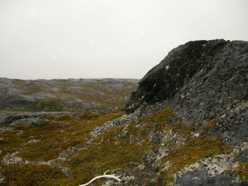 2010-08-03-1203_-_Terræn_3