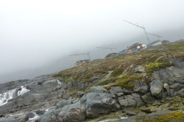 2010-07-30-1504_-_Malina