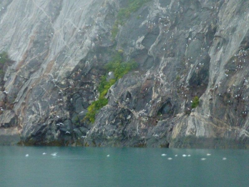 2010-08-04-2152_-_Fuglefjeld