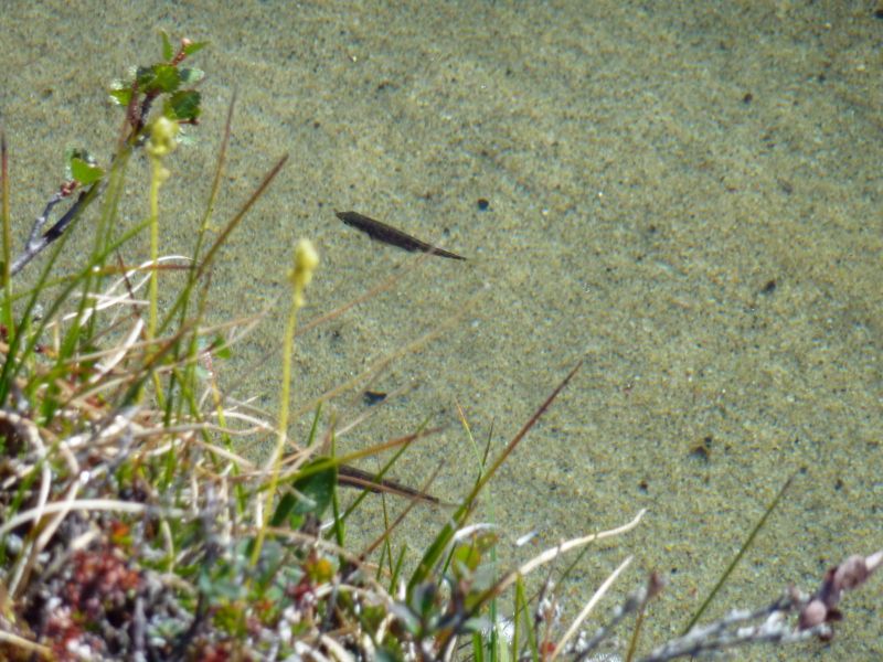 2010-08-05-1123_-_-