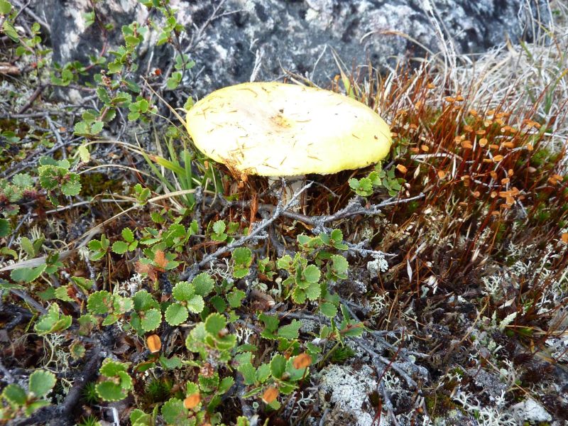 2010-08-05-1349_-_-_3