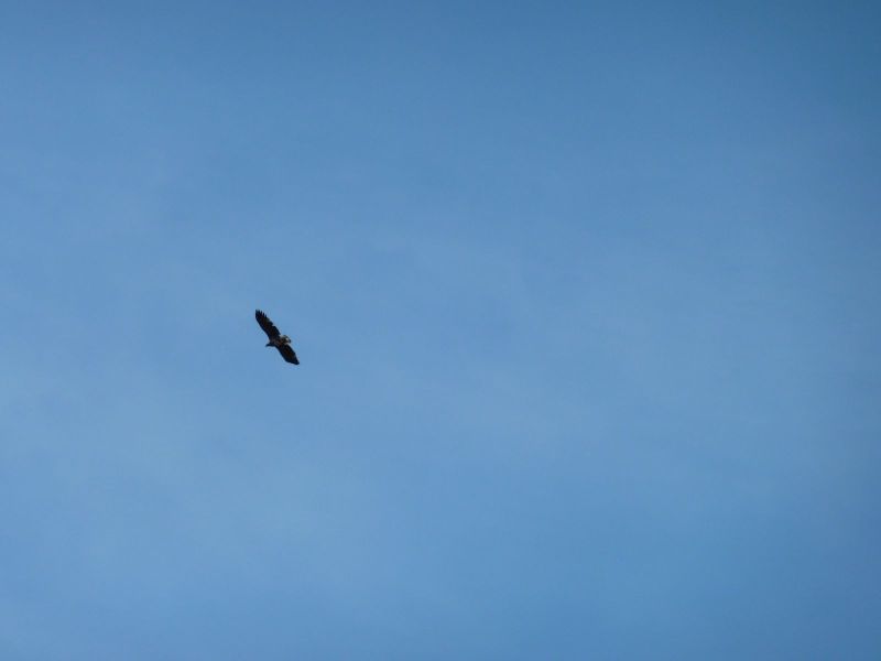 2010-08-05-1538_-_-