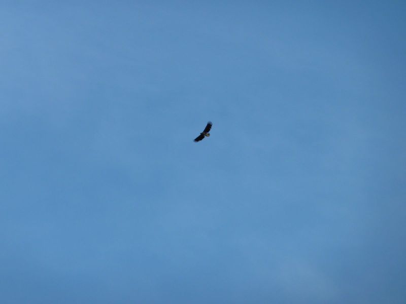 2010-08-05-1538_-_-_2