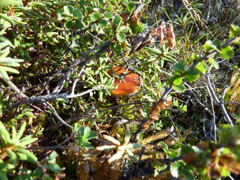 2010-08-05-1701_-_-_2