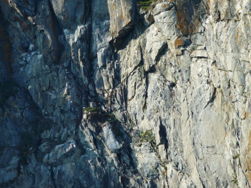 2010-08-05-1853_-_Uummannaq_3