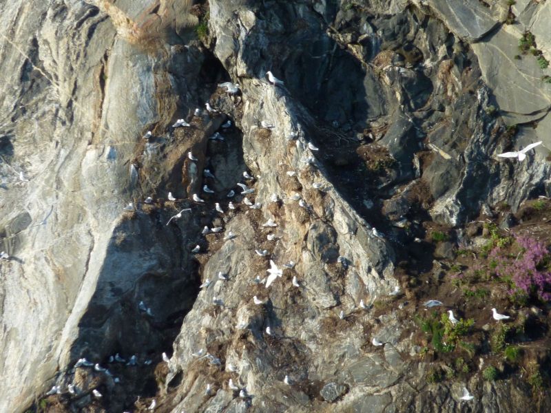 2010-08-05-1920_-_Uummannaq