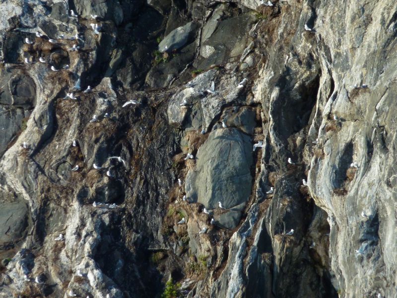 2010-08-05-1920_-_Uummannaq_2