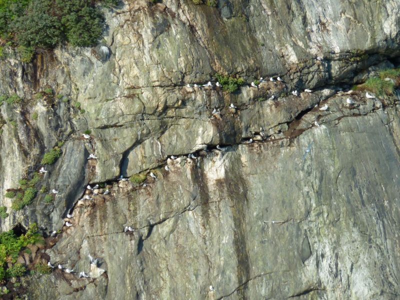 2010-08-05-1920_-_Uummannaq_3