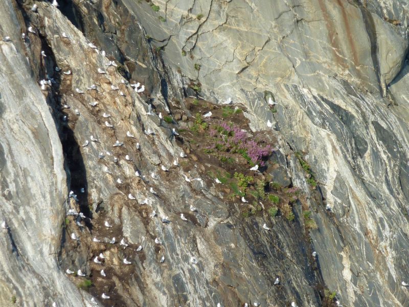 2010-08-05-1926_-_Uummannaq
