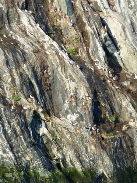 2010-08-05-1926_-_Uummannaq_2