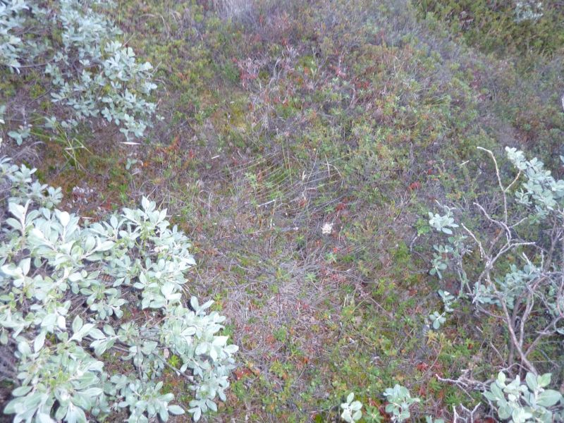 2010-08-05-2213_-_-_2