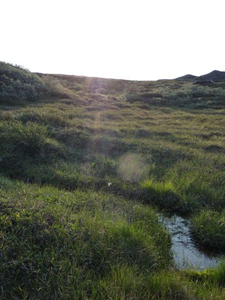 2010-08-06-0701_-_-