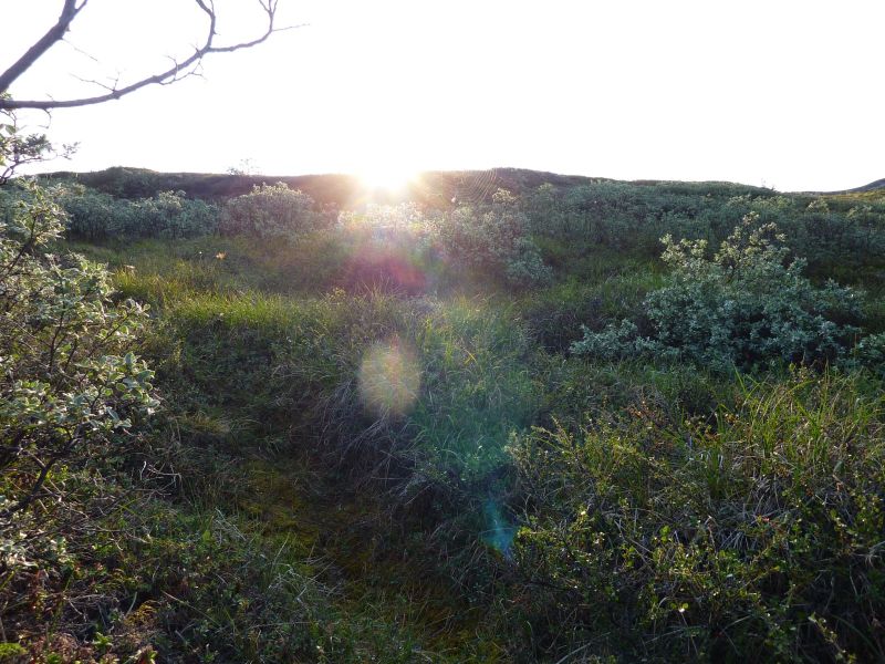 2010-08-06-0705_-_-