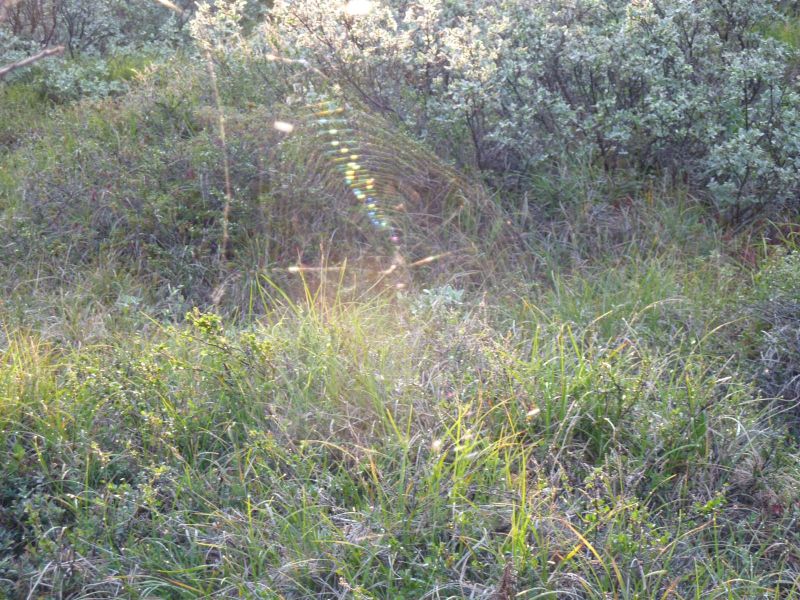 2010-08-06-0705_-_-_2